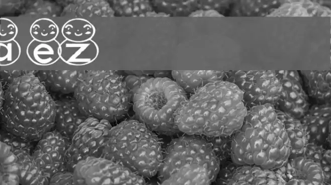 AEZ snowman Font examples