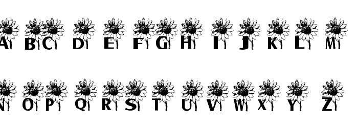 sunflower艺术字体图片