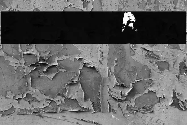 AEZ toy dolls フォント examples