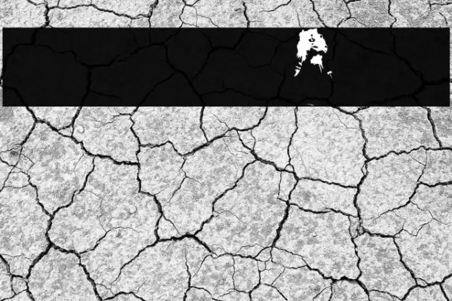 AEZ toy dolls フォント examples