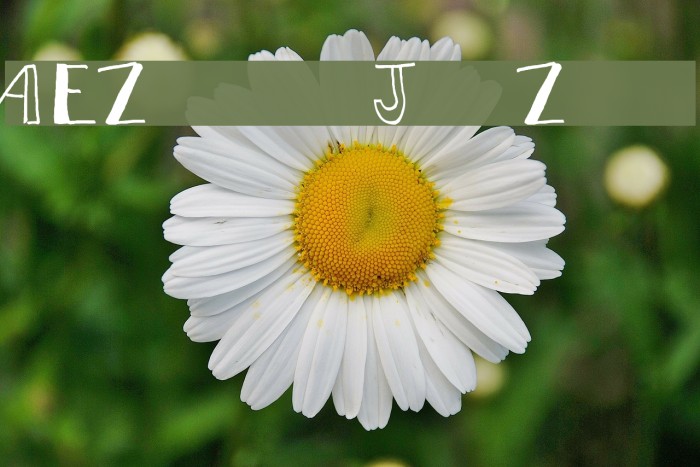 AEZblot by Jon Zittel Font examples