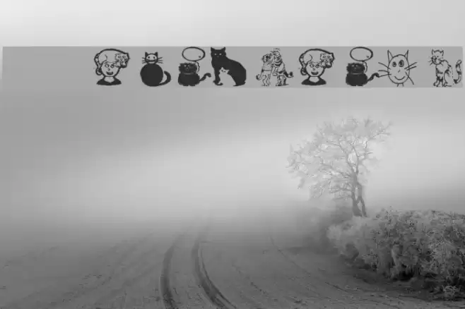 AEZcrazycats Font examples