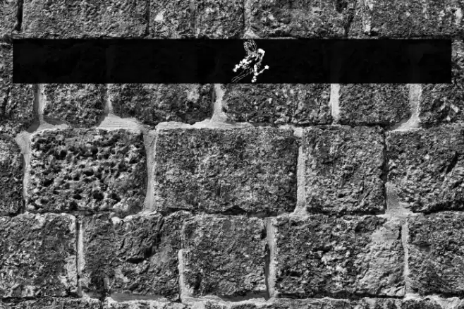 AEZfairies フォント examples