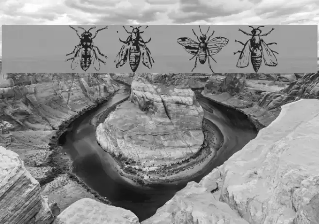 AEZinsects Font examples