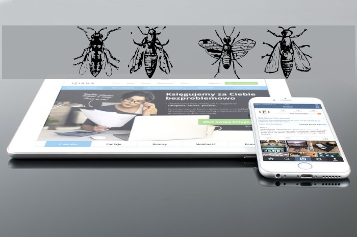 AEZinsects Example 2