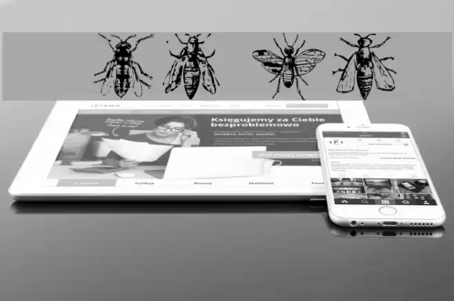 AEZinsects Font examples