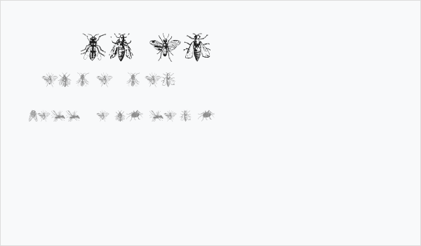 AEZinsects Business Card