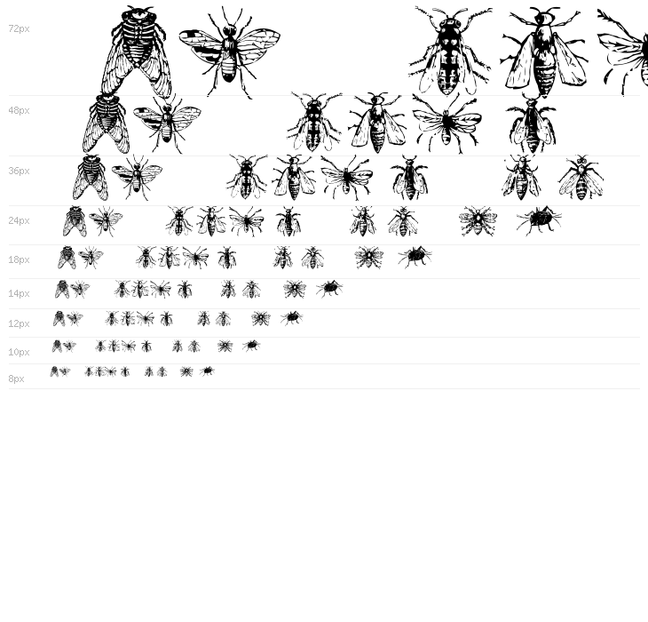 AEZinsects Waterfall