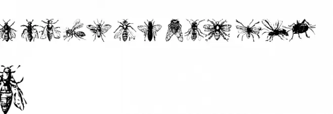 AEZinsects خط أحرف صغيرة