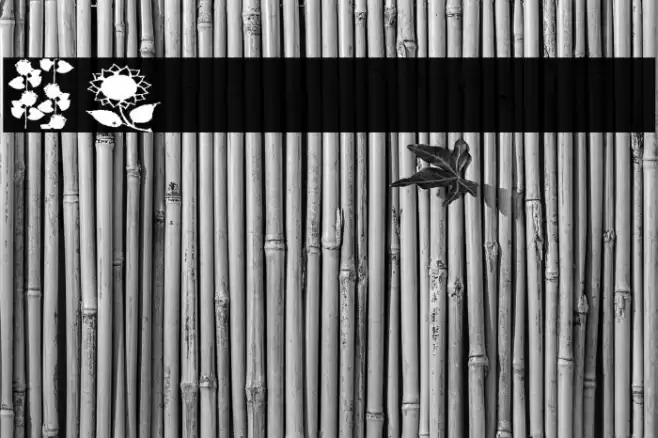 AEZsunflowers Font examples