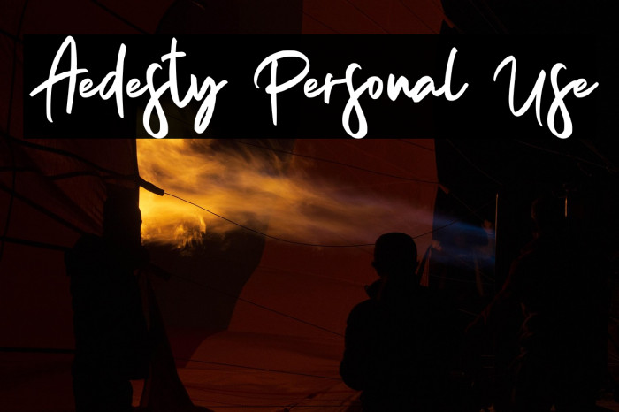 Aedesty Personal Use Example 1