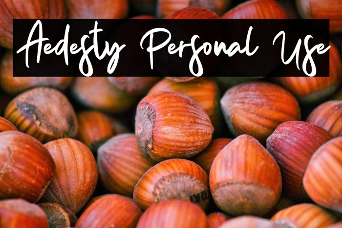 Aedesty Personal Use Example 3