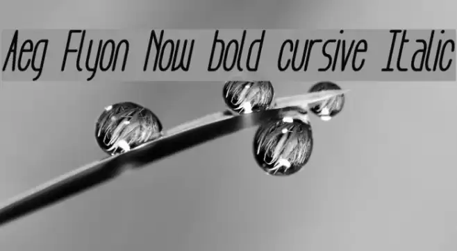 Aeg Flyon Now bold cursive Italic Schriftart examples