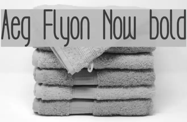 Aeg Flyon Now bold Font examples