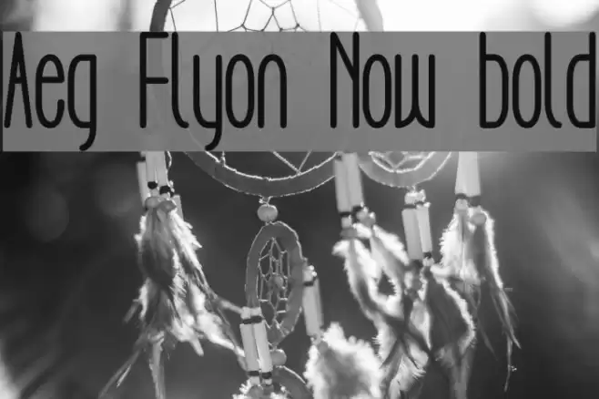 Aeg Flyon Now bold Font examples