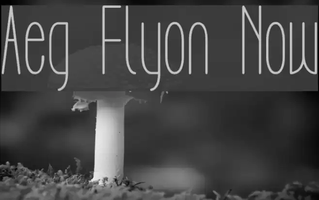 Aeg Flyon Now خط examples