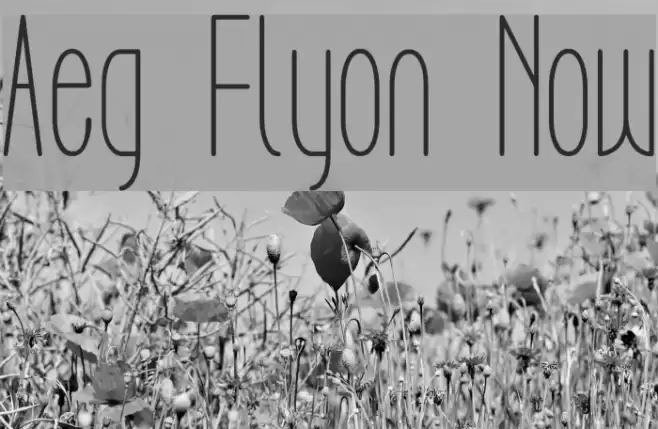 Aeg Flyon Now خط examples