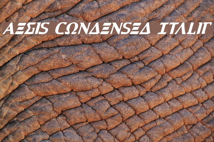 Aegis Condensed Italic Font examples