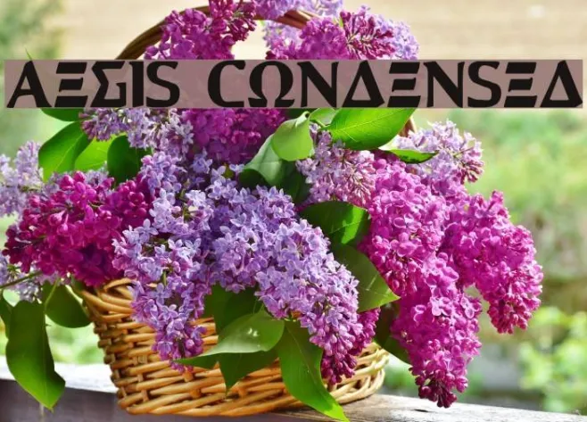 Aegis Condensed Example 1