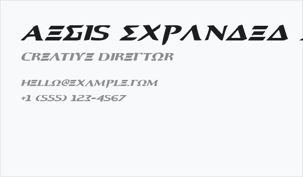 Aegis Expanded Italic Business Card