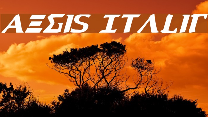 Aegis Italic Font examples