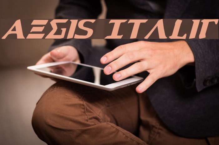 Aegis Italic Font examples