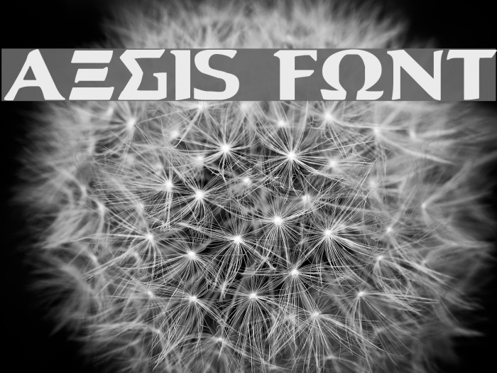 Aegis Font examples