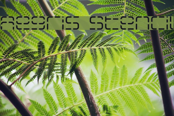 Aegris Stencil Font examples