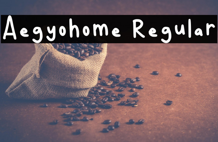 Aegyohome Regular Example 2
