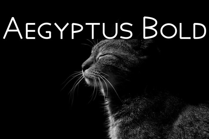 Aegyptus Bold Example 1
