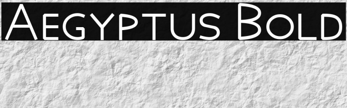 Aegyptus Bold Example 3