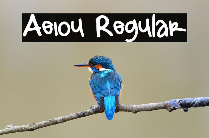 Aeiou Regular Example 1