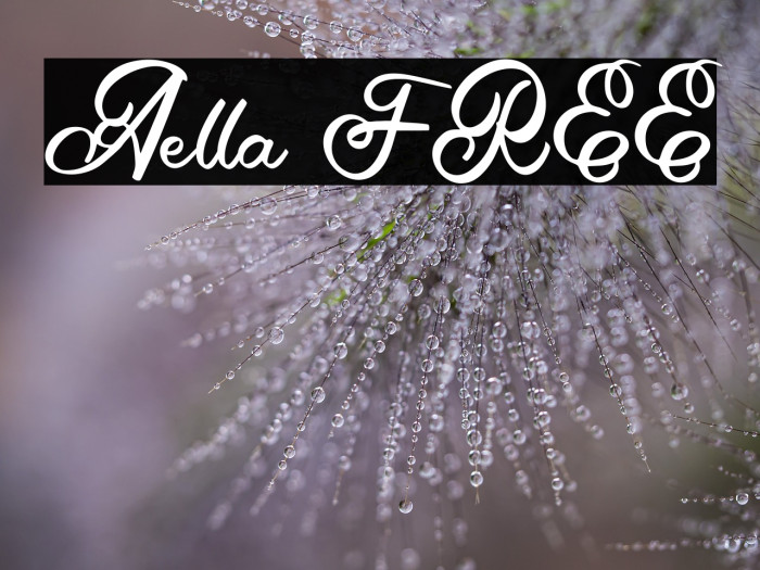 Aella FREE Example 2