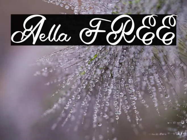 Aella FREE Example 2