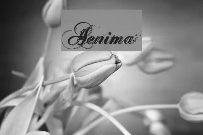 Aenima Шрифта examples