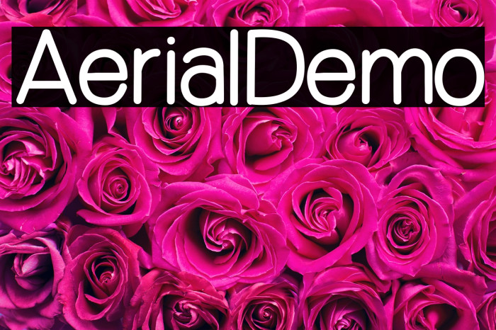 Aerial_Demo Example 2