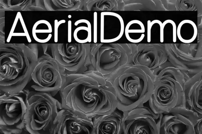 Aerial_Demo Schriftart examples