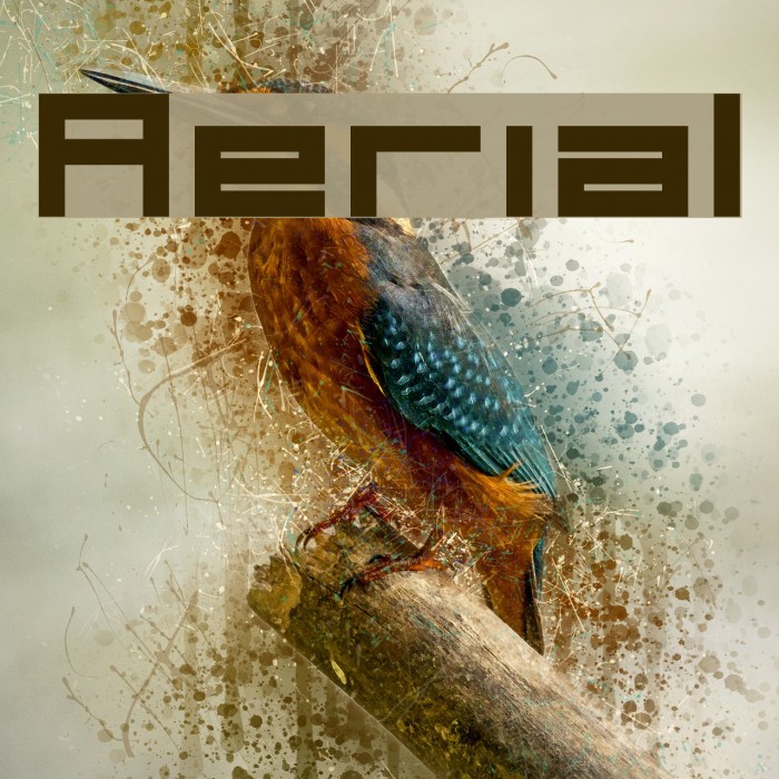 Aerial Font examples