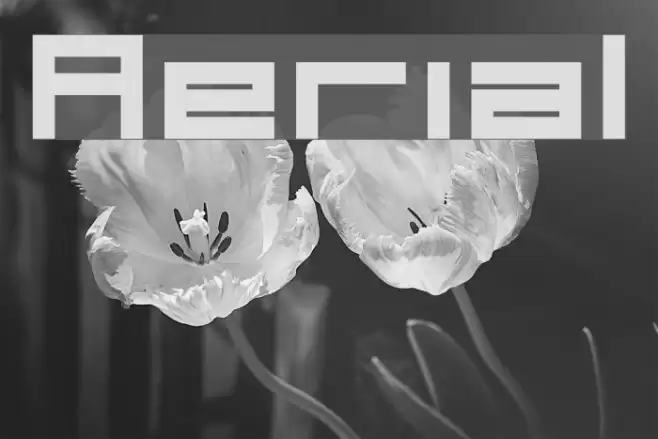 Aerial Font examples