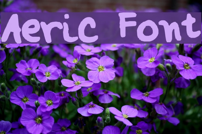 Aeric Font examples