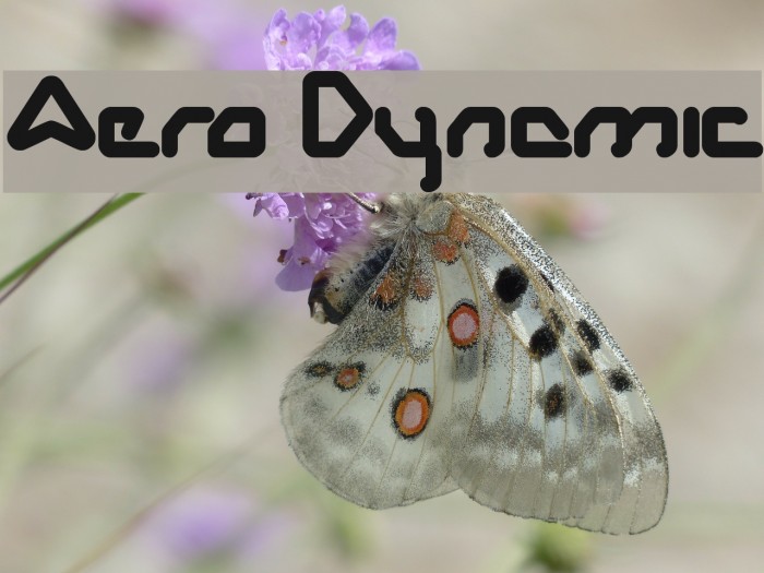 Aero Dynamic Font examples
