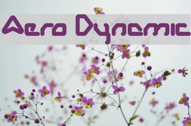 Aero Dynamic Example 2