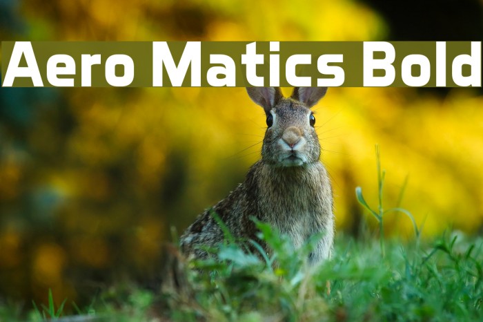 Aero Matics Bold Font examples