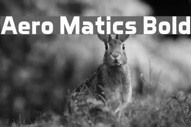 Aero Matics Bold Caratteri examples