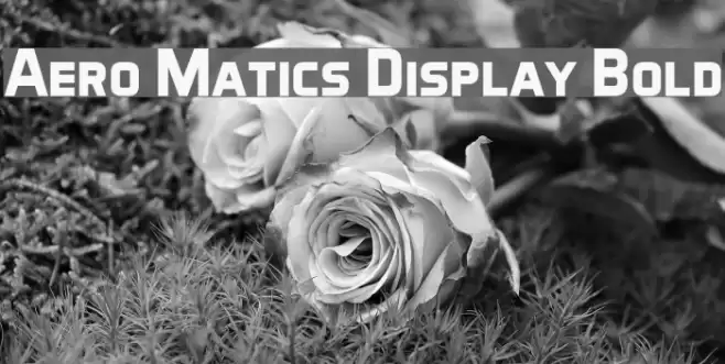 Aero Matics Display Bold Fonte examples