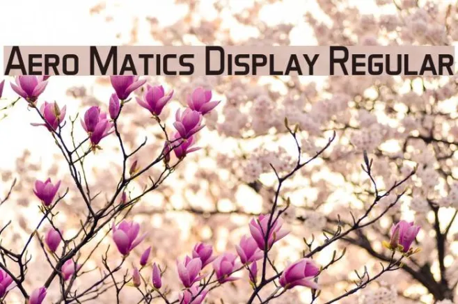 Aero Matics Display Regular Example 1