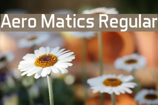 Aero Matics Regular Example 2