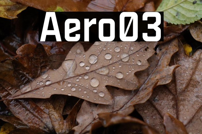 Aero03 Example 3