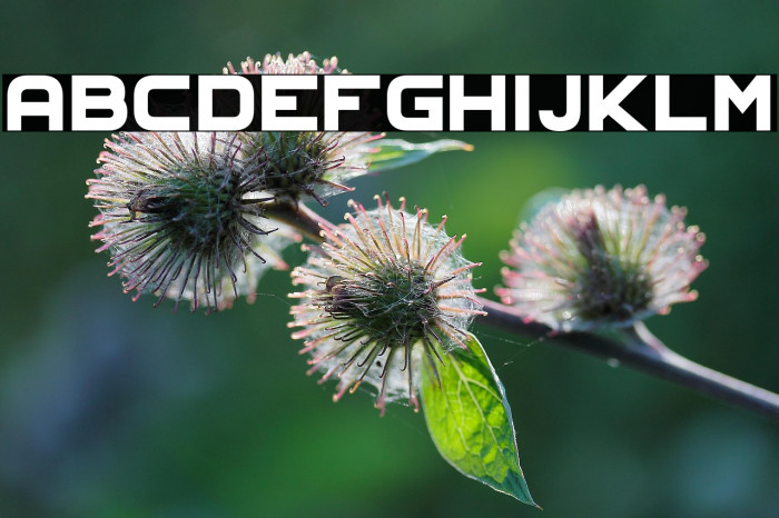 AeroClubComo Example 3