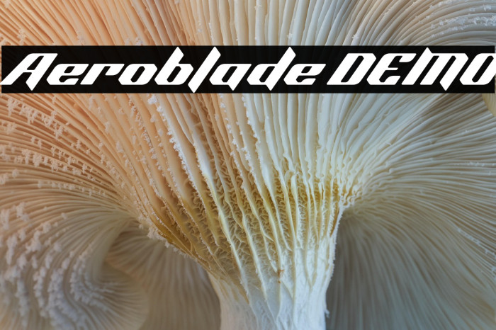 Aeroblade DEMO Example 3